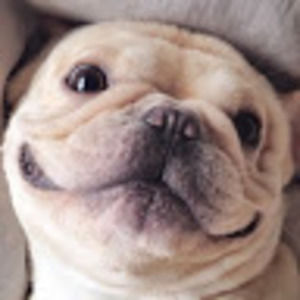 Meet your Posher, Tegan